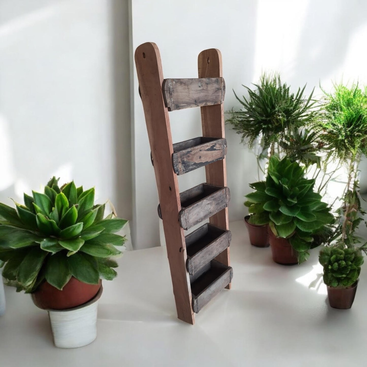 120CM RECLAIMED WOODEN WALL 5 BRICK  RACK