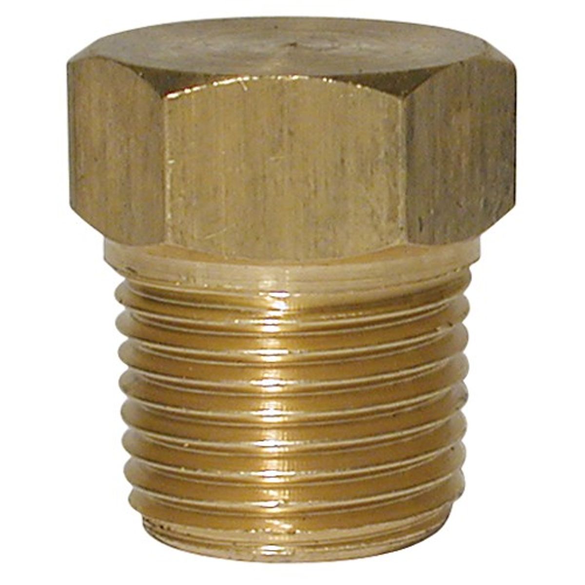AG Brass Tapered Plug (3/8" BSP Male) 1-19722