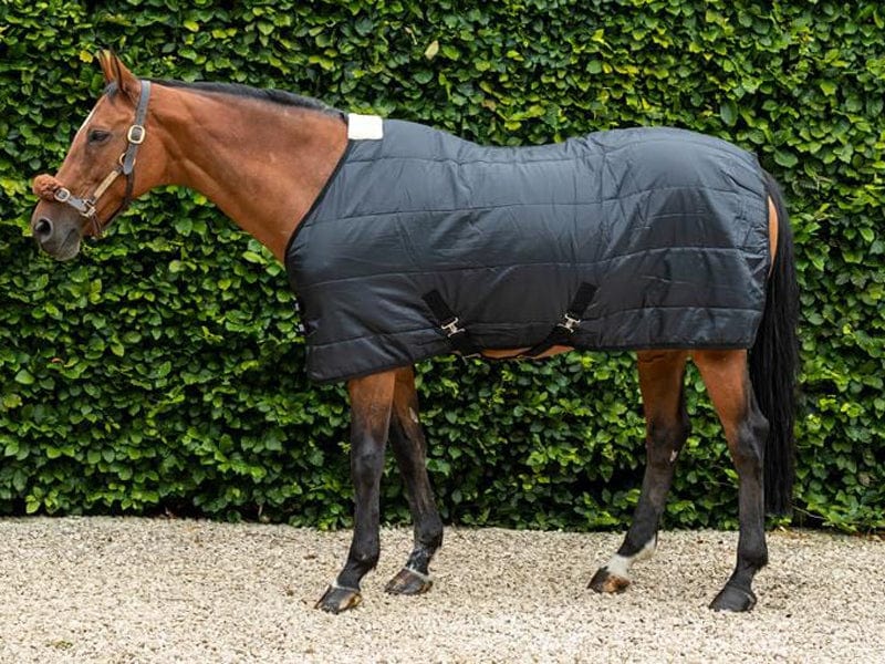 100g Horse Under Rug With Surcingles