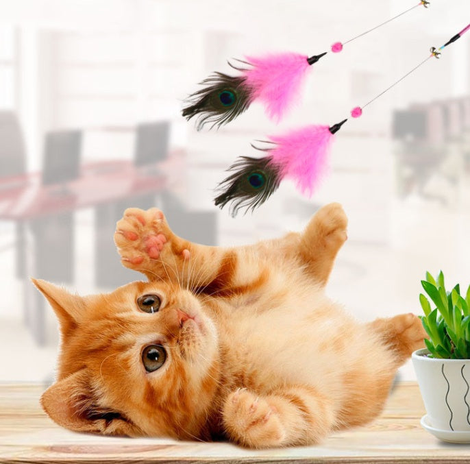 Funny Cat Stick Bite-Resistant Feather Long Rod Funny Cat Stick