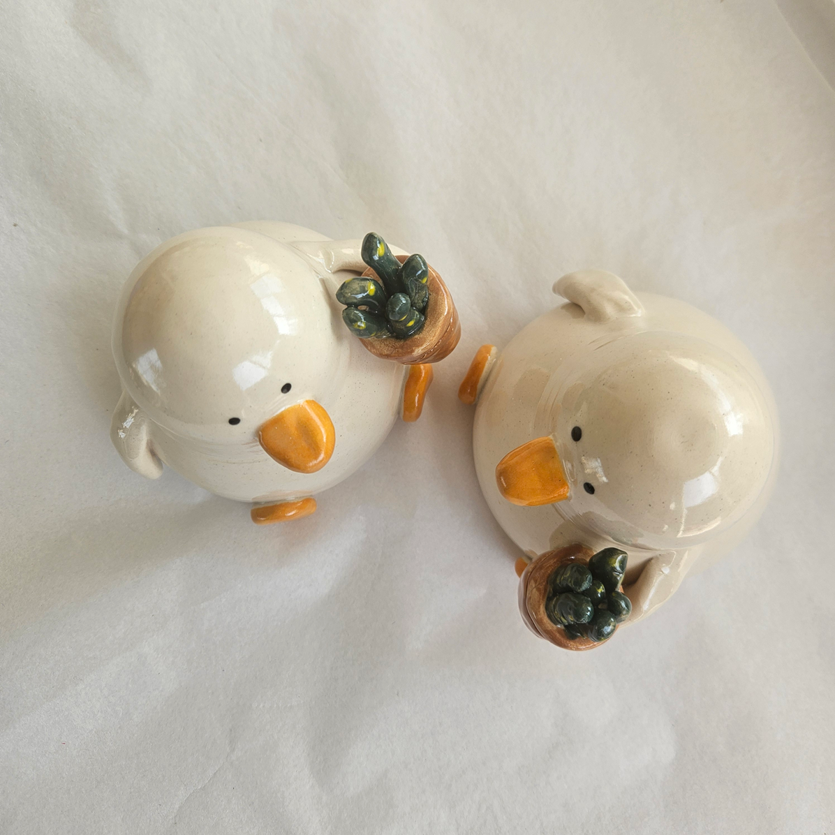 Grant with the Plant - Duck with Succulent