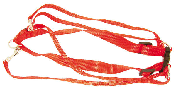 Nylon Gentledog Harness Red 25mm X 55-80cm