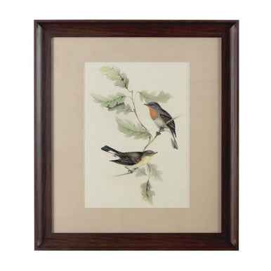 Framed Birds 1 Wall Art