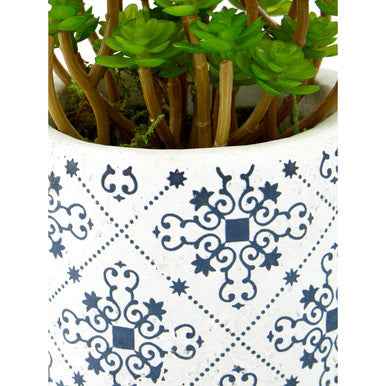 Fiori Set of 3 Succulents in Henna Ceramic Pots