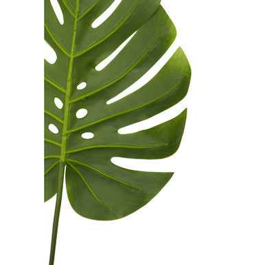 Fiori 109cm Green Stem Monstera Palm