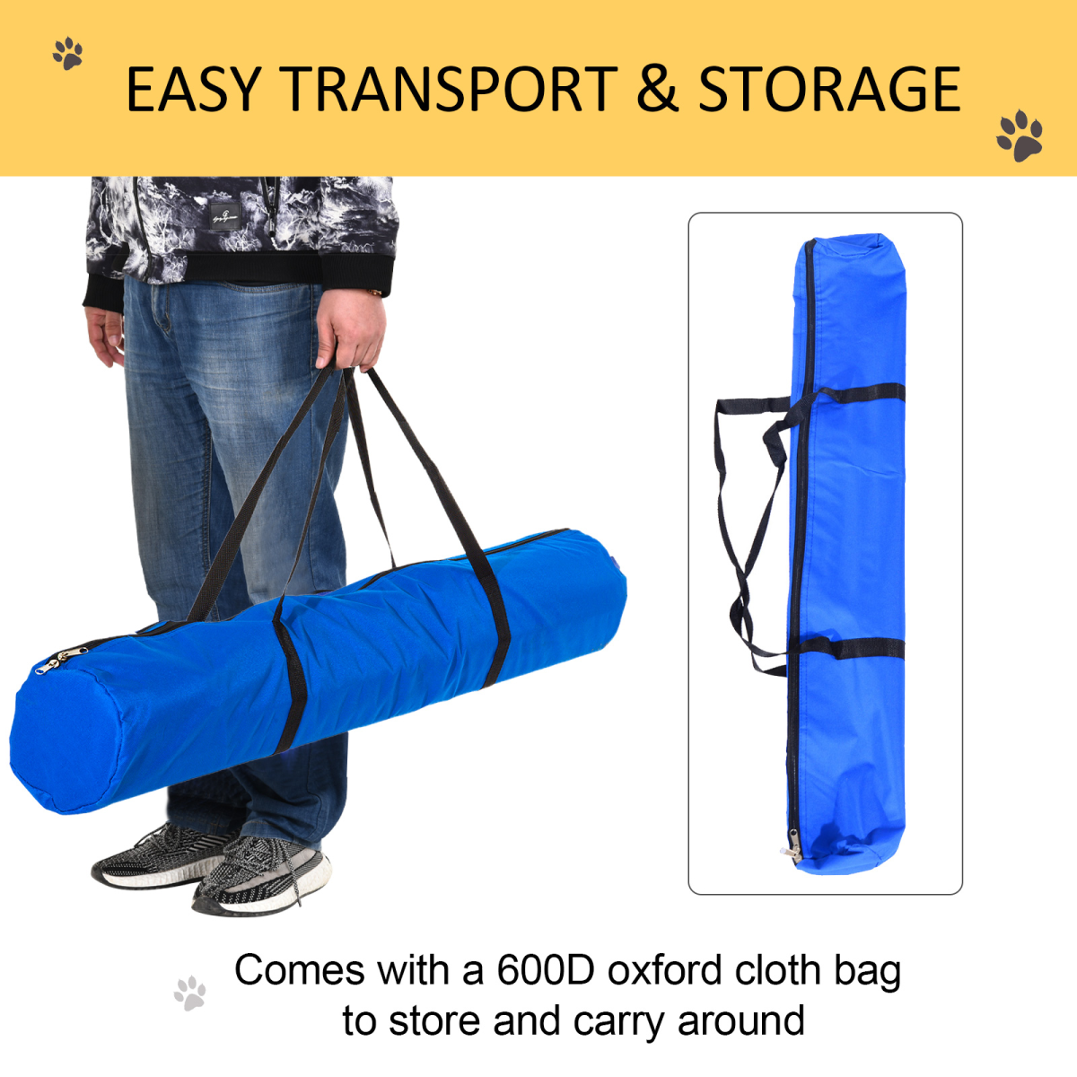 Dog Agility Training Equipment