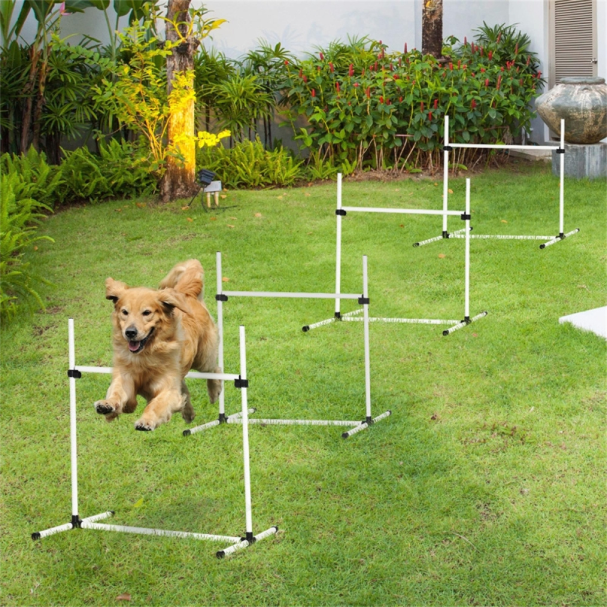Dog agility training equipment