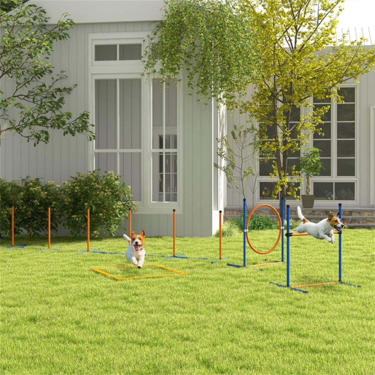Dog agility training equipment
