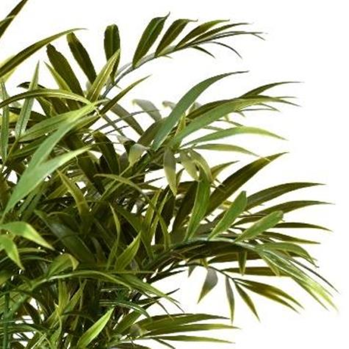 40cm Fire Retardant Artificial Palm Tree Stem