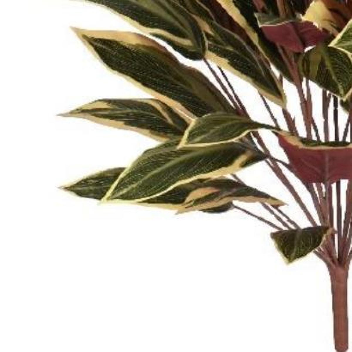 90cm Fire Retardant Caladium Bush with white edge x15w/49Lvs