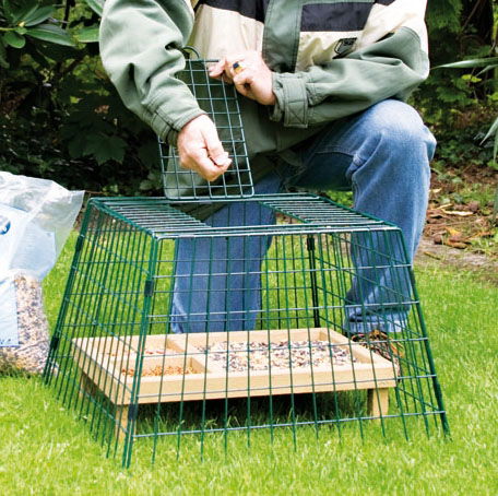 Cj Ground Guard Small Mesh Green