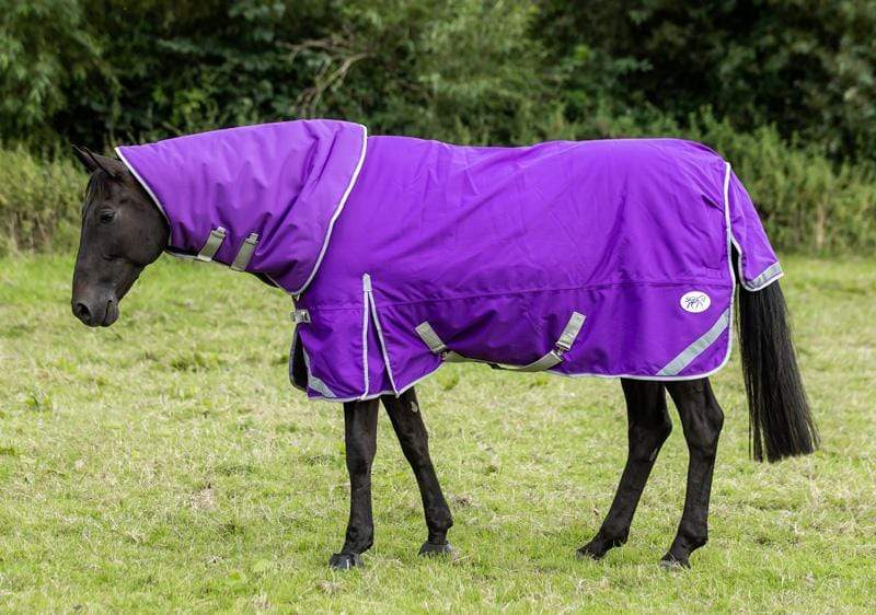 50g Detachable Neck Turnout Rug - Purple