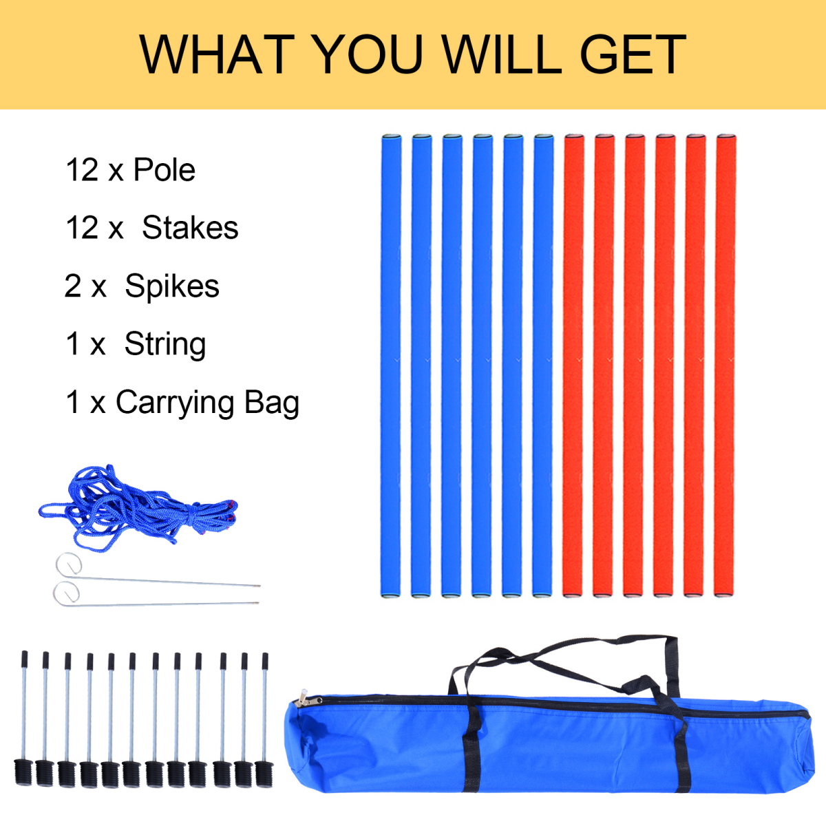 Dog Agility Training Equipment