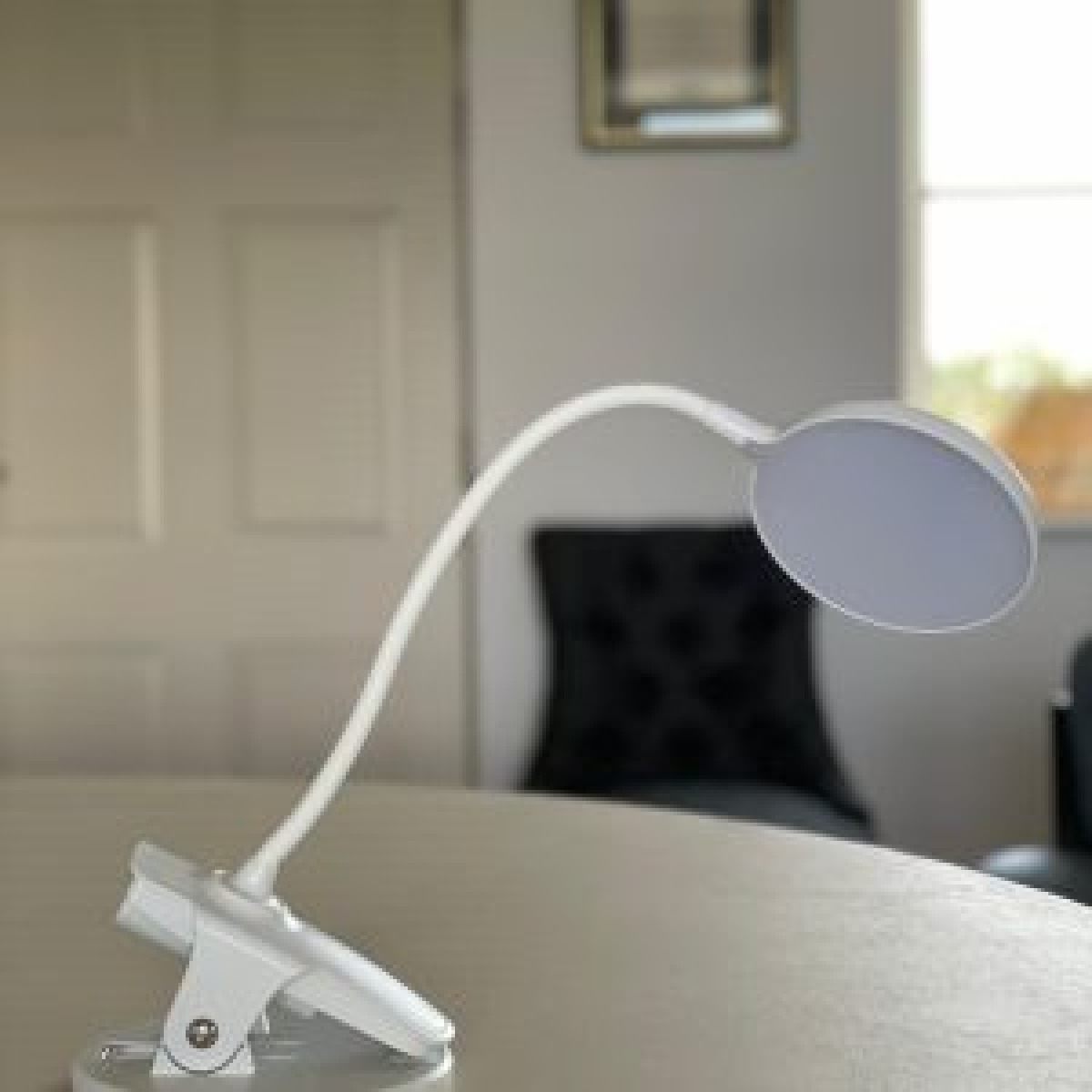 Clip on Mini Light
