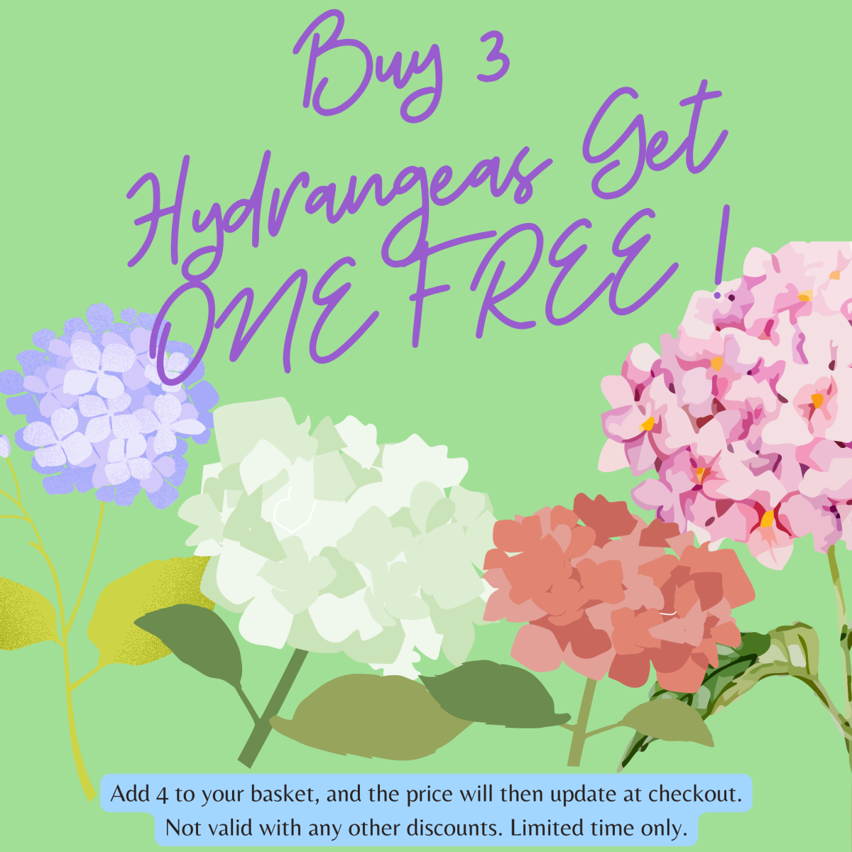Hydrangea quercifolia 'Ruby Slippers' 3L