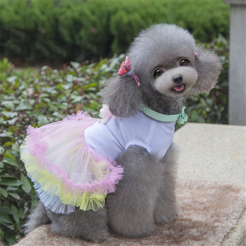 Cupcake Tutu Dress