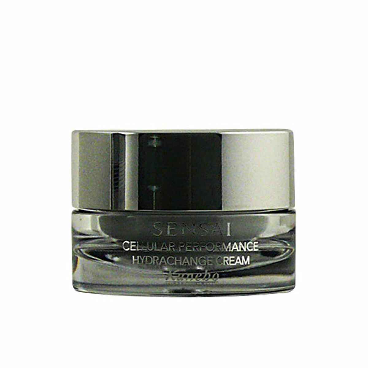 Anti-Ageing Hydrating Cream Kanebo 40 ml