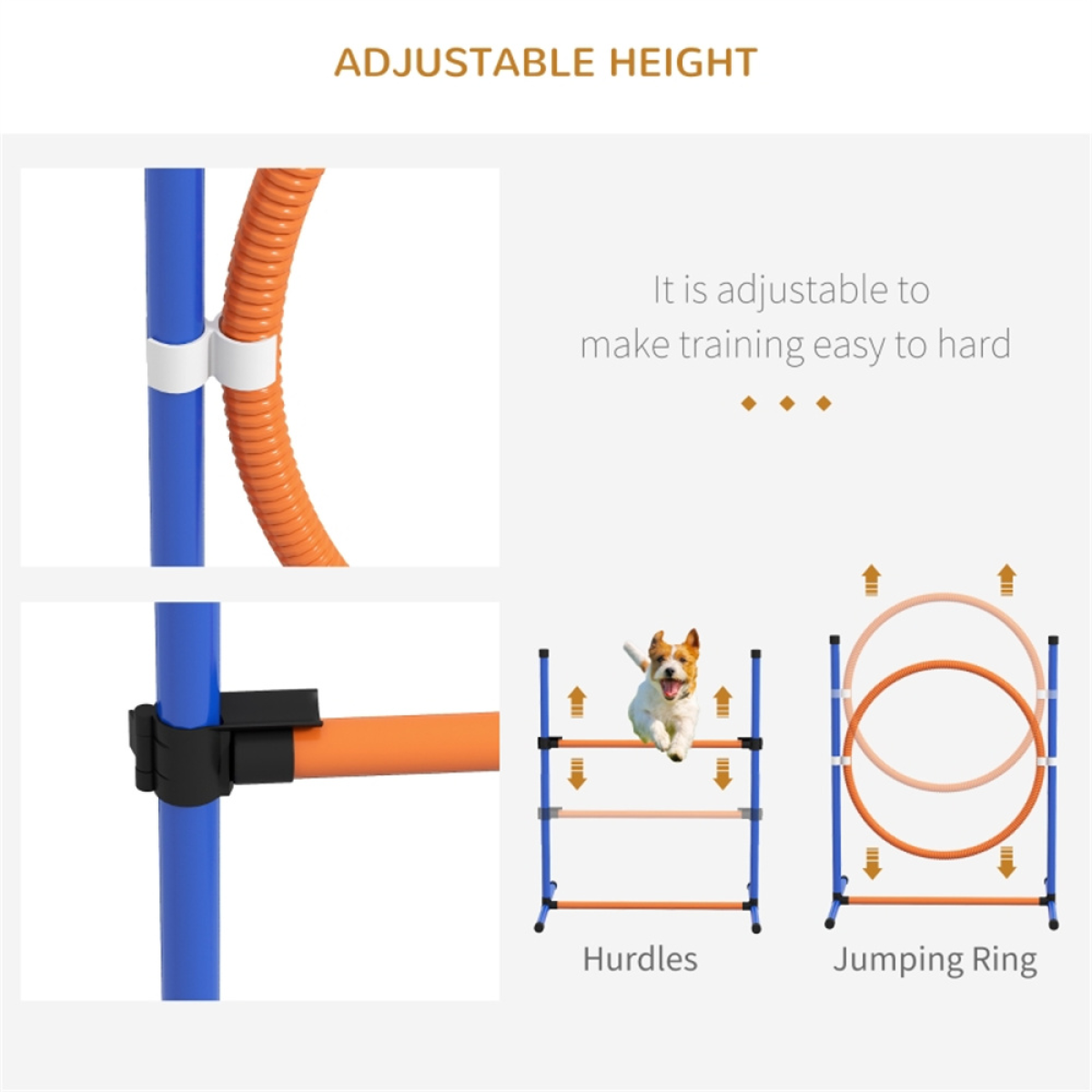 Dog agility training equipment