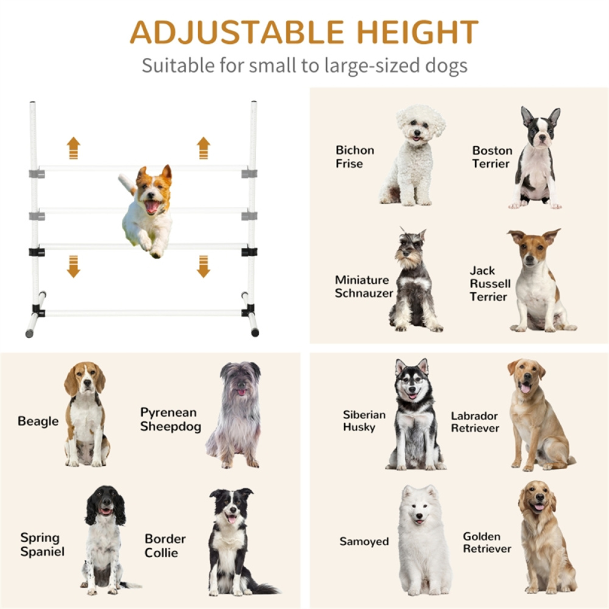 Dog agility training equipment
