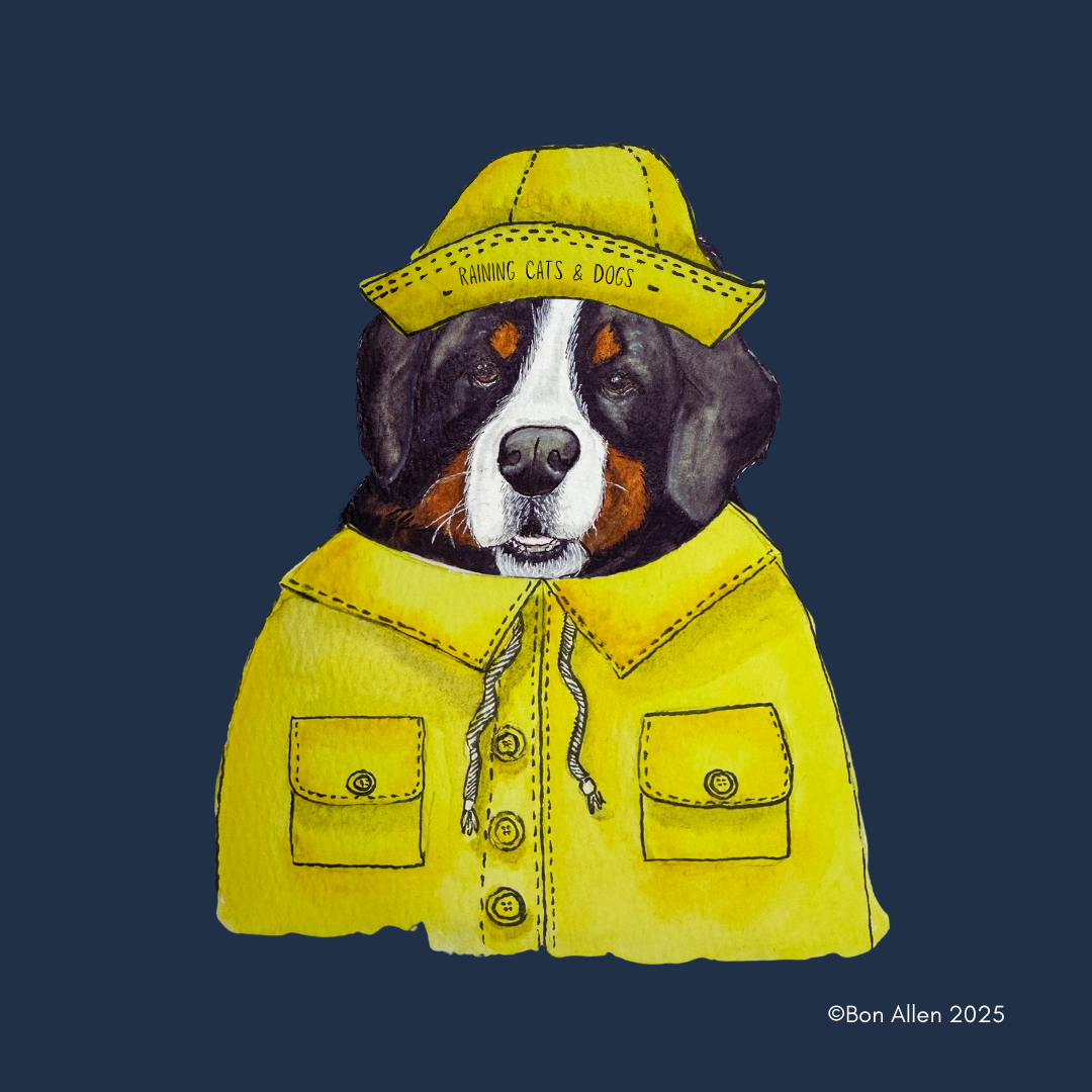 Berner-Sized Protection – Stay Dry in Giant Furry Style!