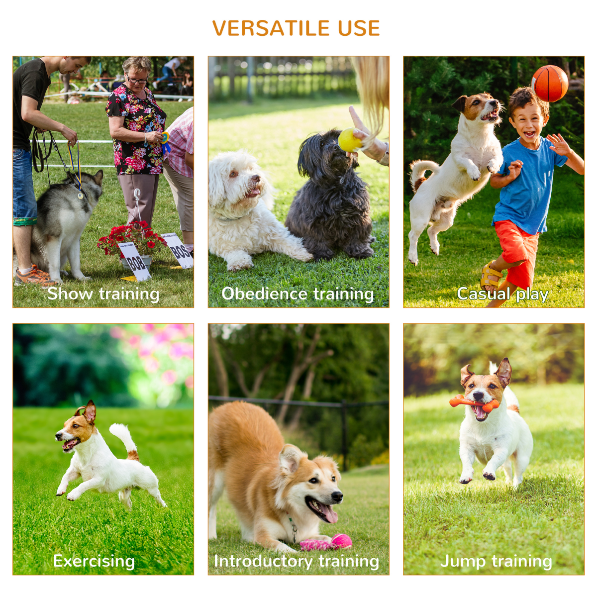 Dog agility training equipment
