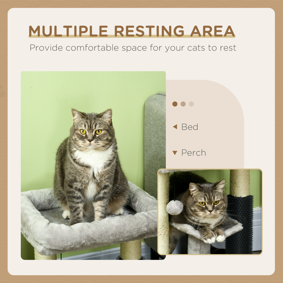 Cat Tree