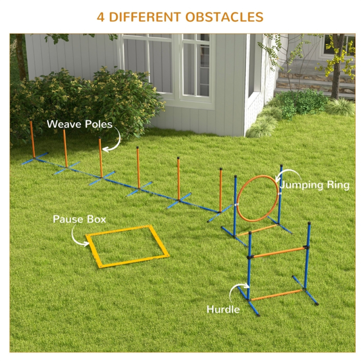 Dog agility training equipment
