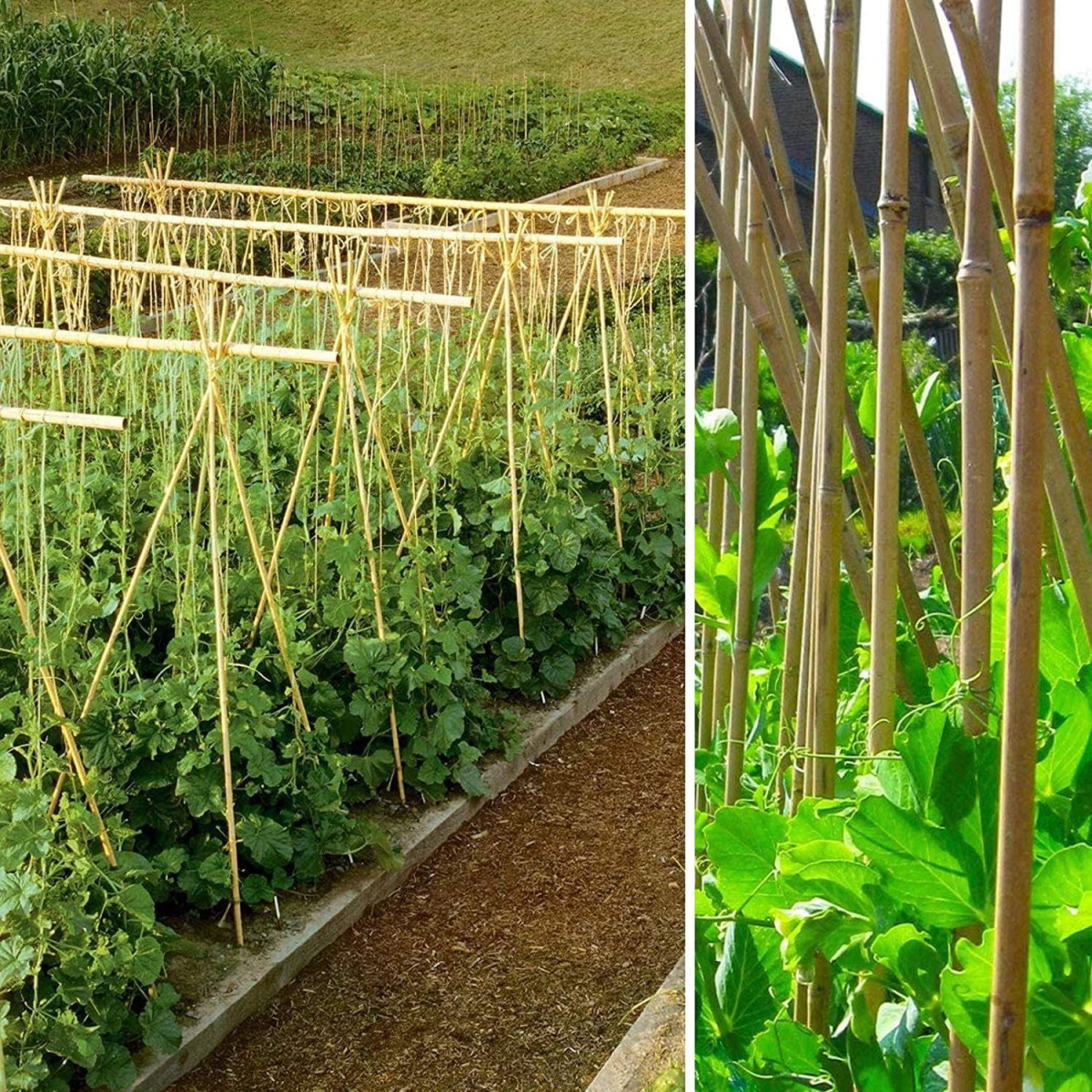 10 x 4FT Bamboo Canes Sticks 120cm