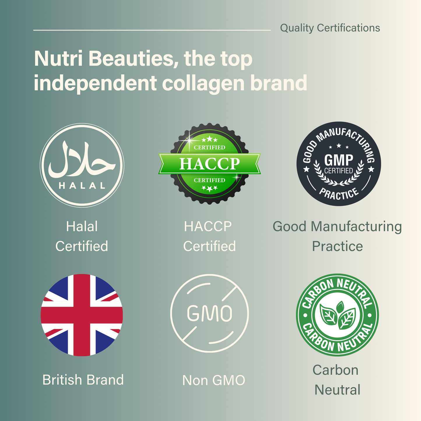 Mixed collagen pack | Liquid + Powder (NB)