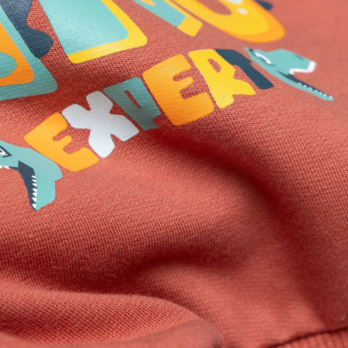 HelloBaby "Little Dino Expert" Slogan Brushed Baby Sweatshirt & Joggers Set (3-6 Months to 4-5 Years)
