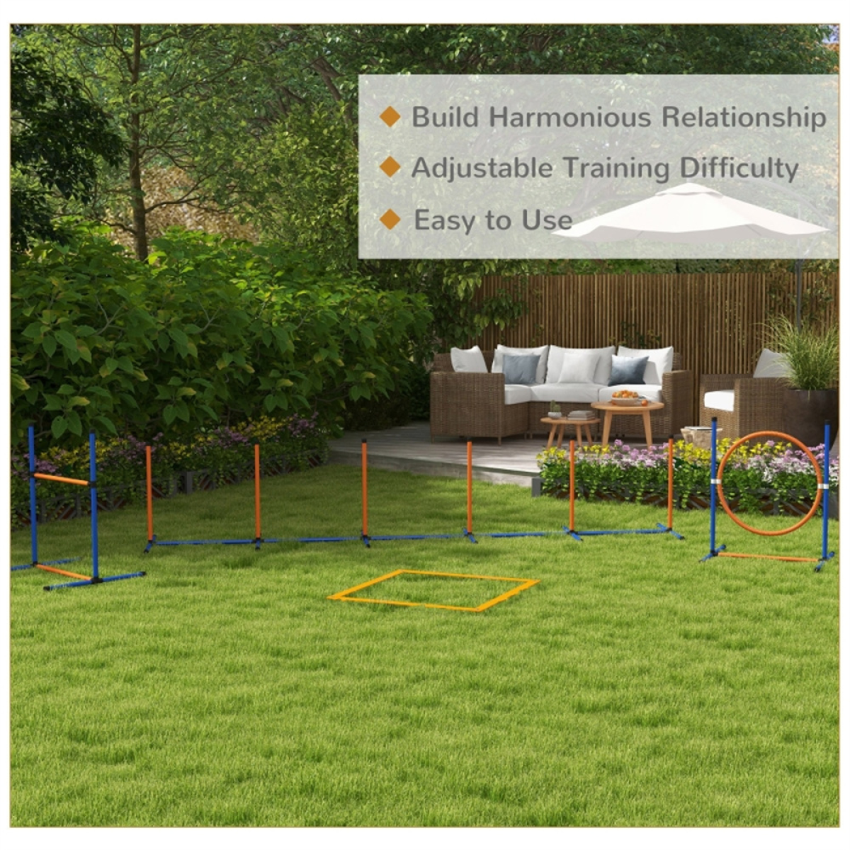 Dog agility training equipment