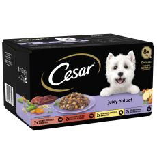 Cesar Juicy Hotpot Adult Wet Dog Food Trays Mixed in Gravy 8 x 150g - Case of 3