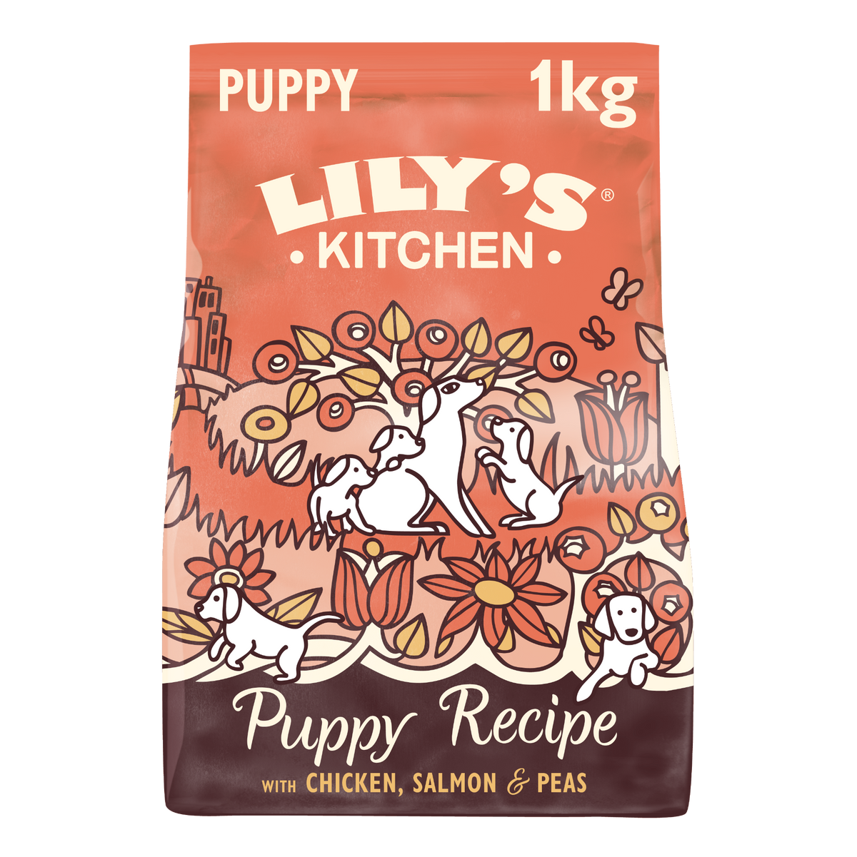 Lily's Kitchen Puppy Chicken/ Salmon GrainFree Recipe 1kg - Case of 4