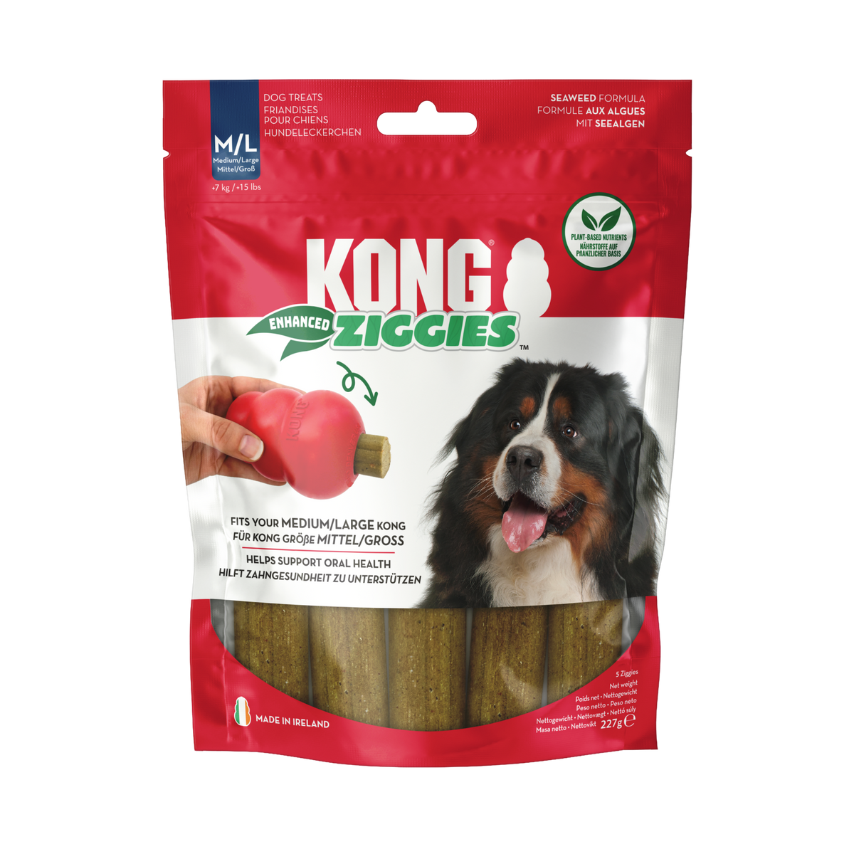 KONG Ziggies Enhanced Md/Lg 227g