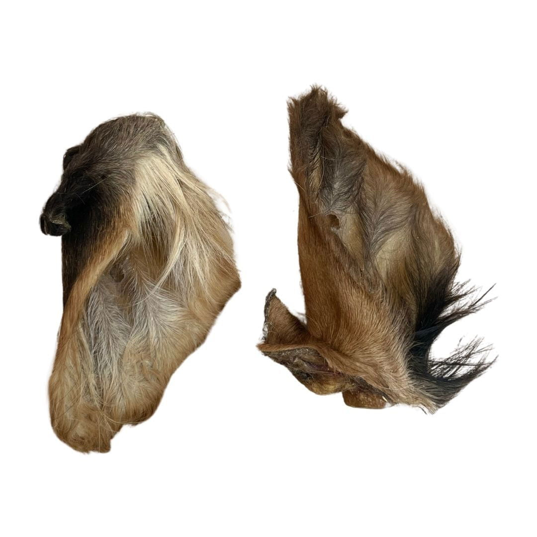 Paddock Farm - Hairy Beef Ears - Case of 25