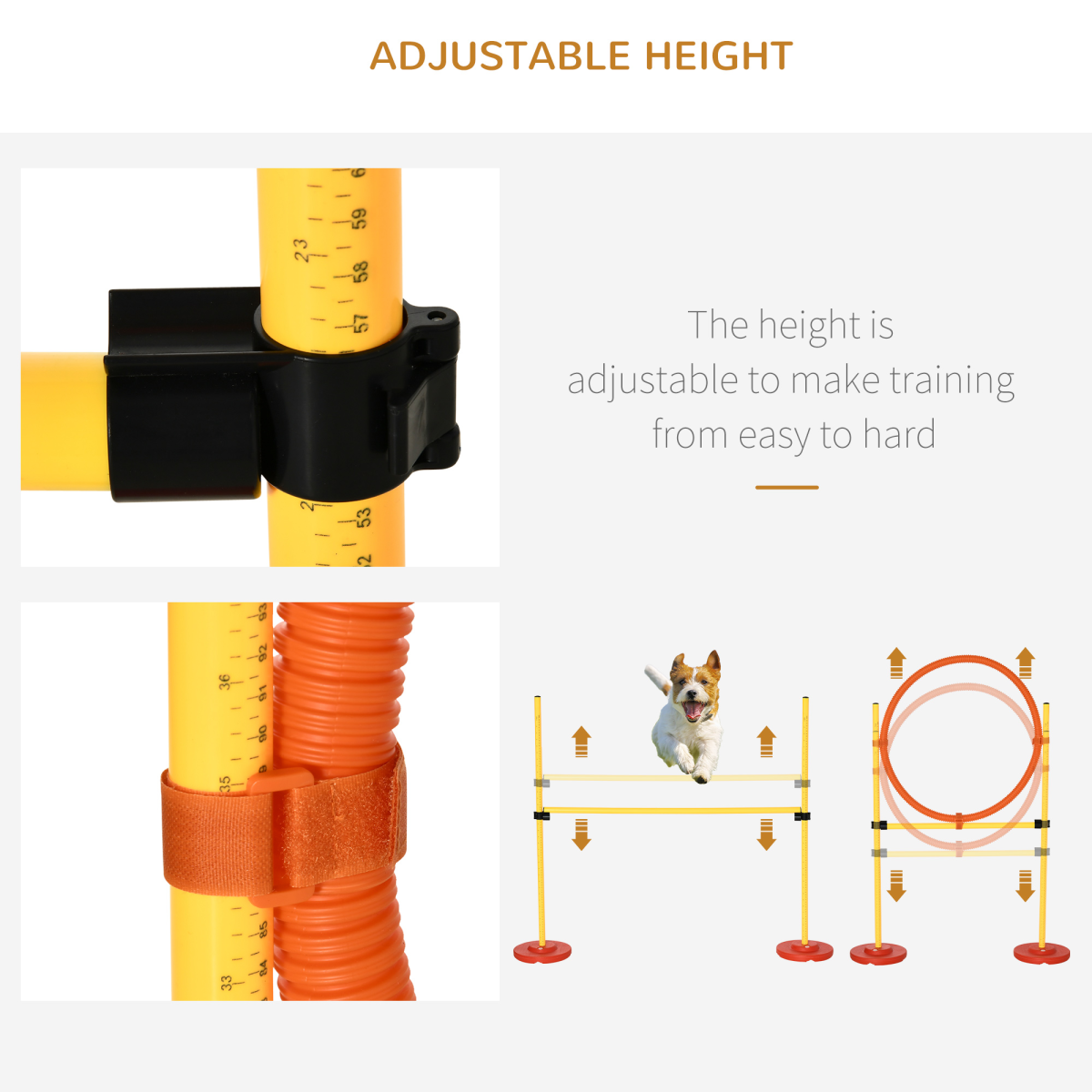 Dog agility training equipment