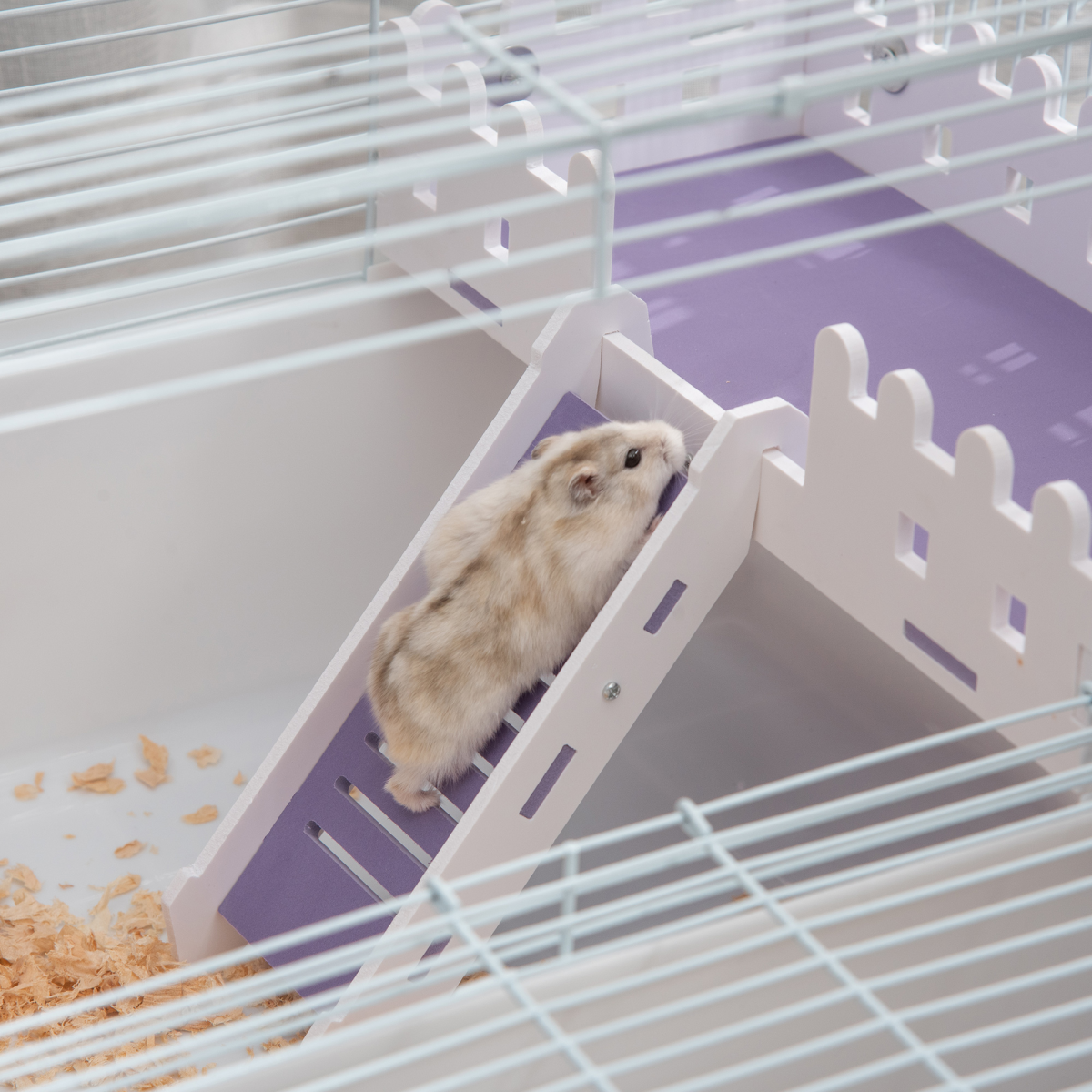 Two-Tier Hamster Cage Gerbil Haven w/Exercise Wheel, Water Bottle, Ladder, White