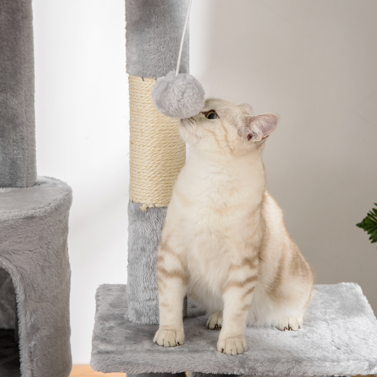 Cat Tree