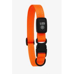 Kowloon PVC Flashing Collar Orange, Small/Medium