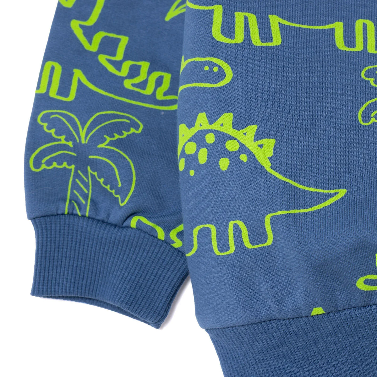 HelloBaby Dinosaur Print Brushed Baby Sweatshirt & Joggers Set (3-6 Months to 4-5 Years)
