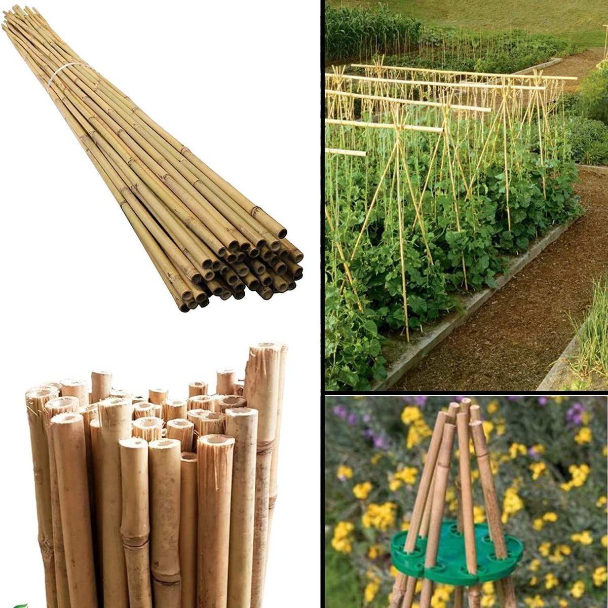 6FT (180cm) Bamboo Cane ONE PIECE
