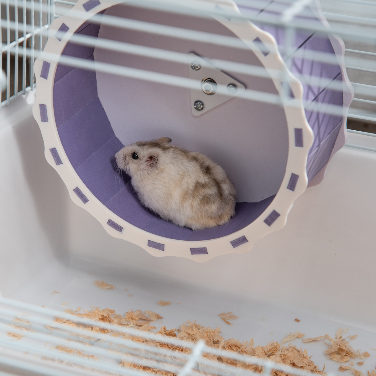 Two-Tier Hamster Cage Gerbil Haven w/Exercise Wheel, Water Bottle, Ladder, White