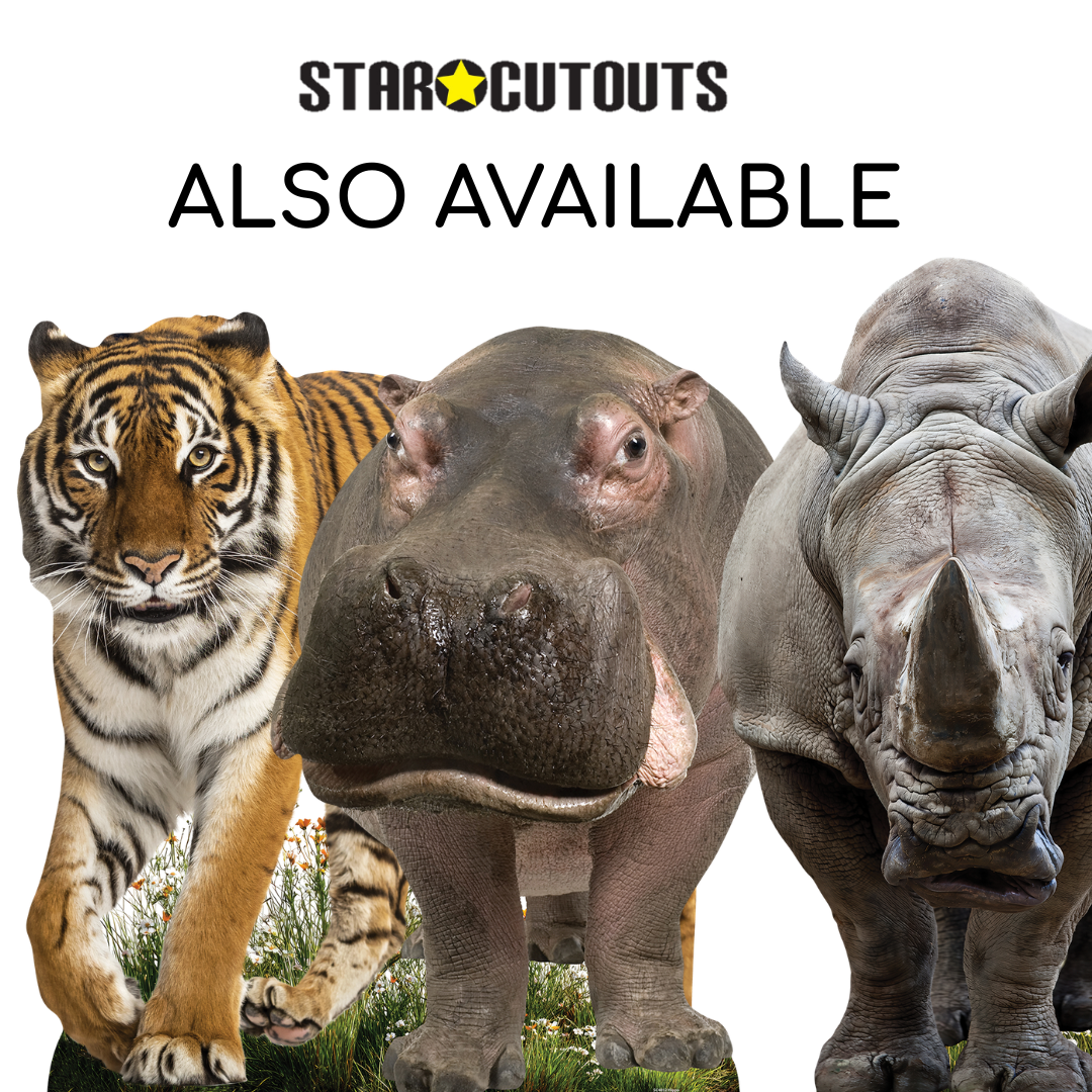 SC4903 Rhino Side View Cardboard Cutout Height 94cm