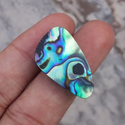 16ct Abalone Shell - Haliotis Iris, Paua Shells, Nacre, Mother-of-Pearl, Aulon, Sea ear -27x17mm