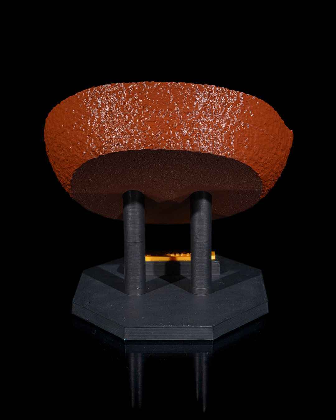 Animal Cell educational model