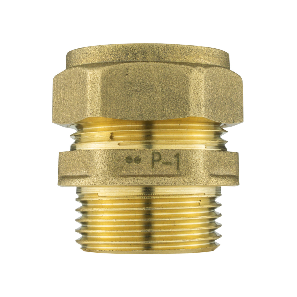 Brass Compression 22mm Straight with 25mm MDPE Straight