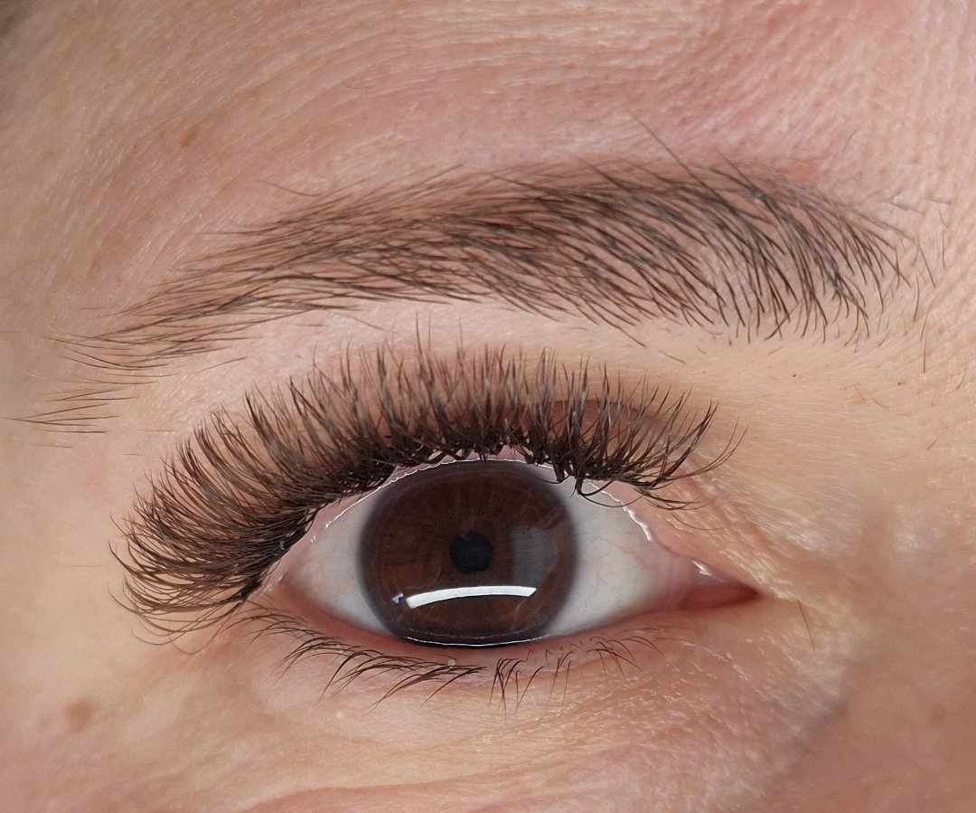 Brown Fairy Lash Mixed Tray