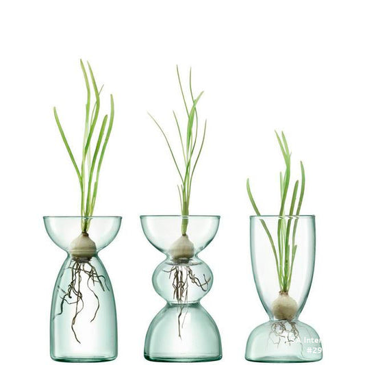Canopy Trio Vases