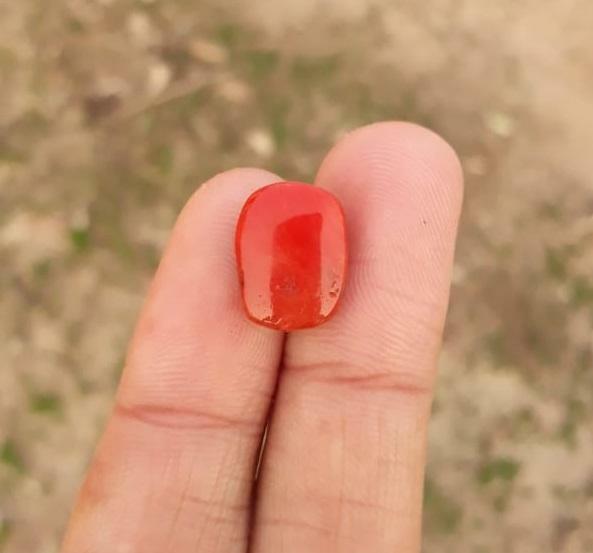 6.2ct Moonga Stone - Marjan Stone - Pagadam Stone - 14.5x11mm