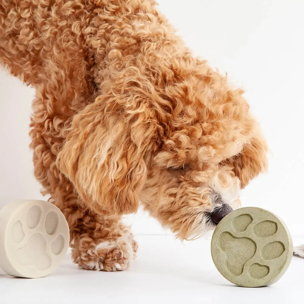 Clean & Calm Dog Shampoo Bar | Neem & Lavender
